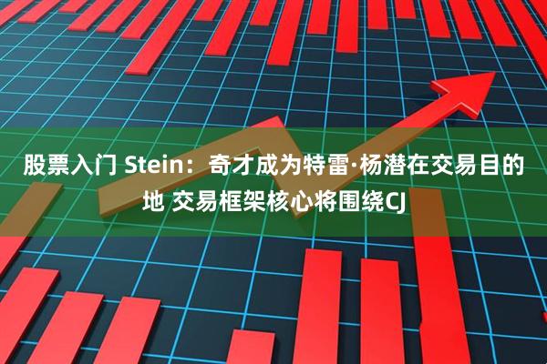 股票入门 Stein：奇才成为特雷·杨潜在交易目的地 交易框架核心将围绕CJ