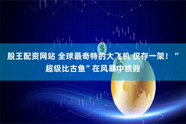 股王配资网站 全球最奇特的大飞机 仅存一架！“超级比古鱼”在风暴中损毁
